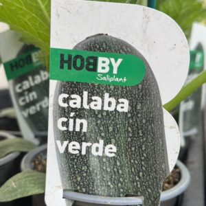 Calabacín